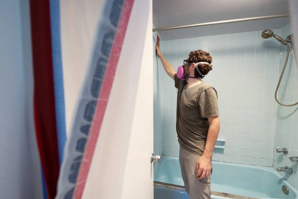 Trusted Breckinridge Center, KY Mold Removal Experts